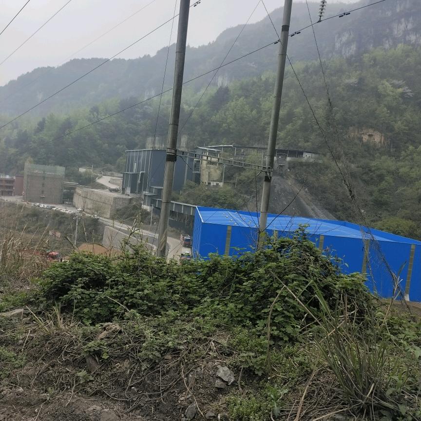 随便玩