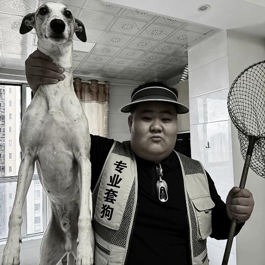 专业套狗李师傅