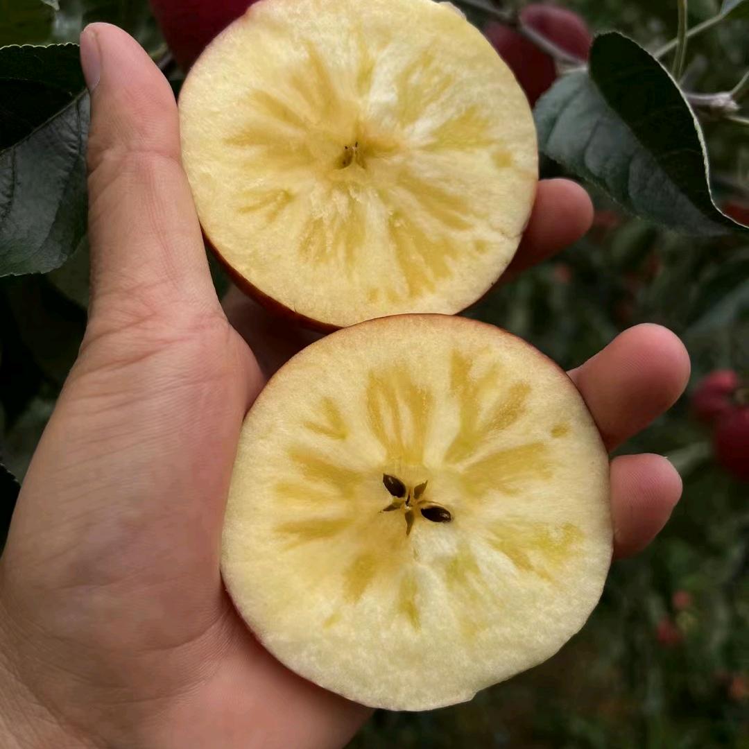 昭通糖心苹果❤️