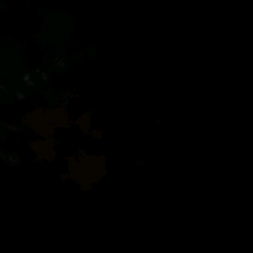 世间百味，冷暖自知