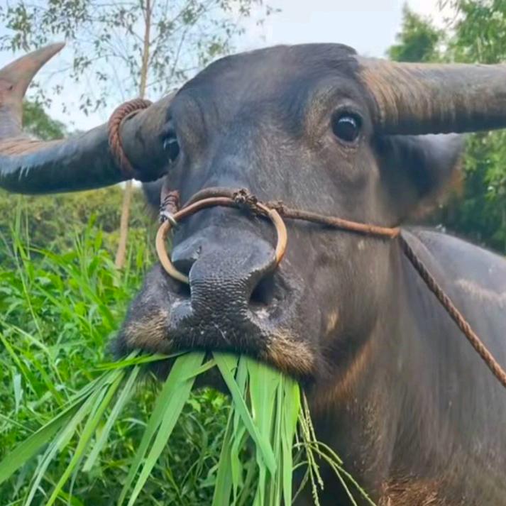 ✨✨幸运✨✨🌟