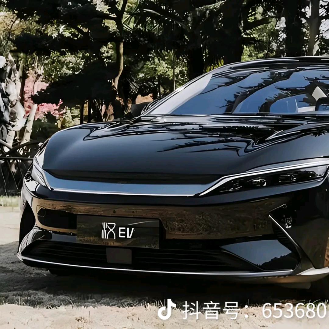 衡阳比亚迪福迪刘经理