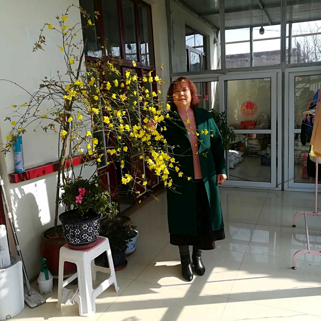 春英姐，中午11：55开播