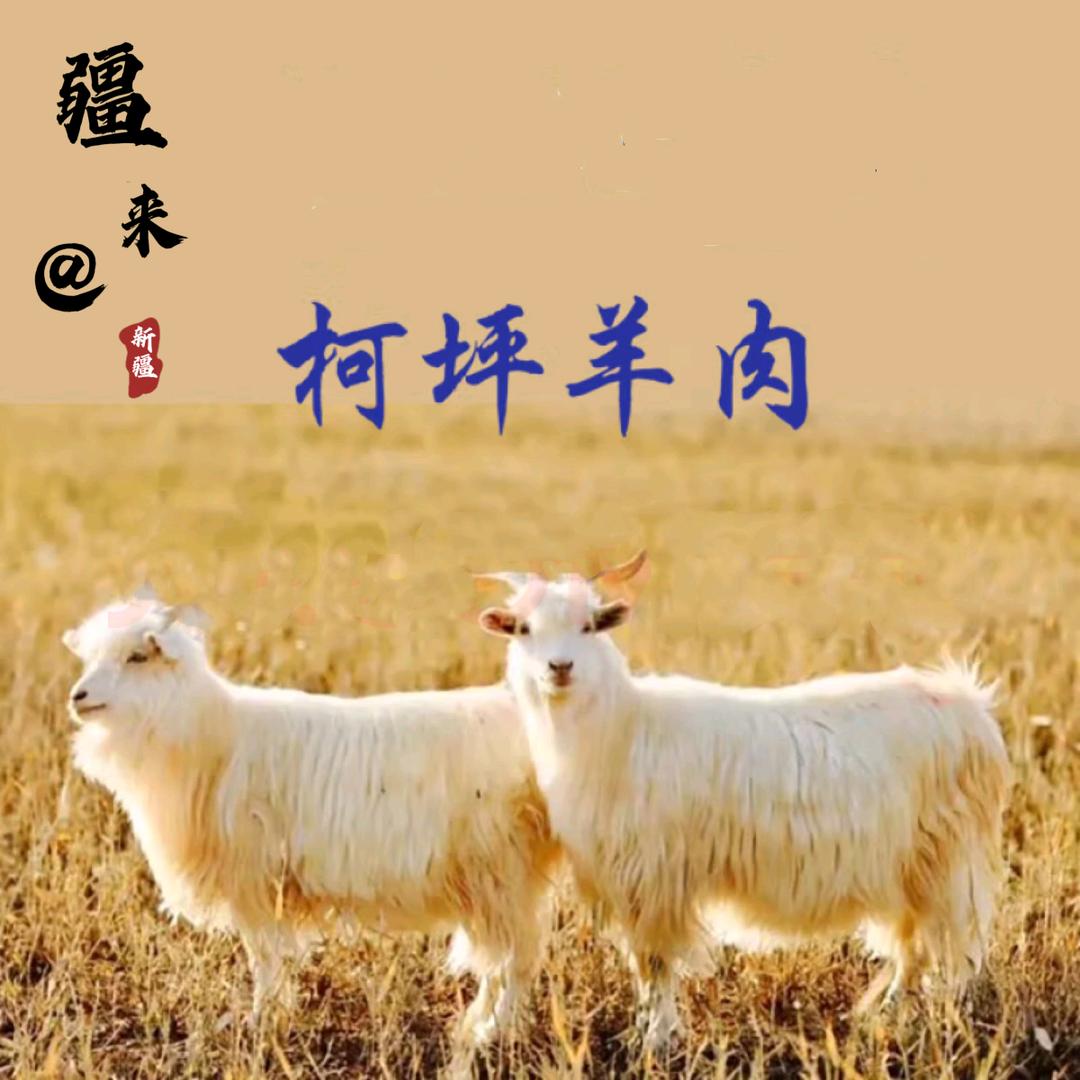 疆来 供应链