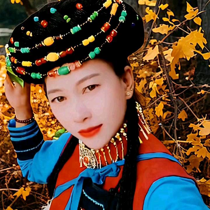 彩蝶舞