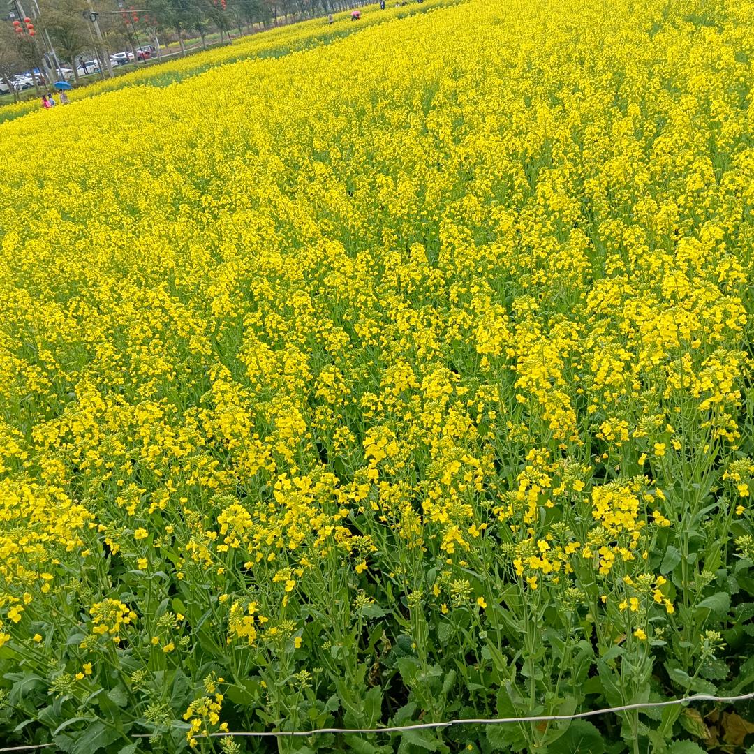 鹰潭公园月湖区连姐服饰店