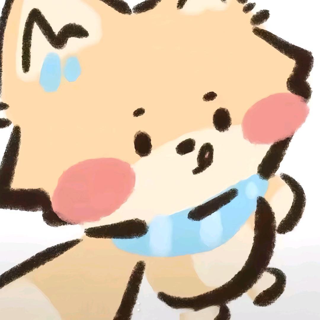 秃头会发光🌟