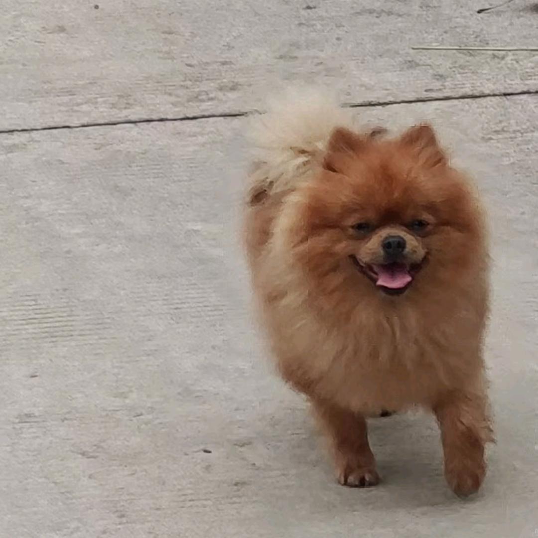 小刘
