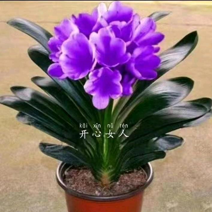 外面的世界。