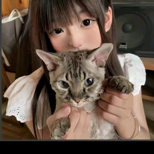煲剧a小猫咪🐱
