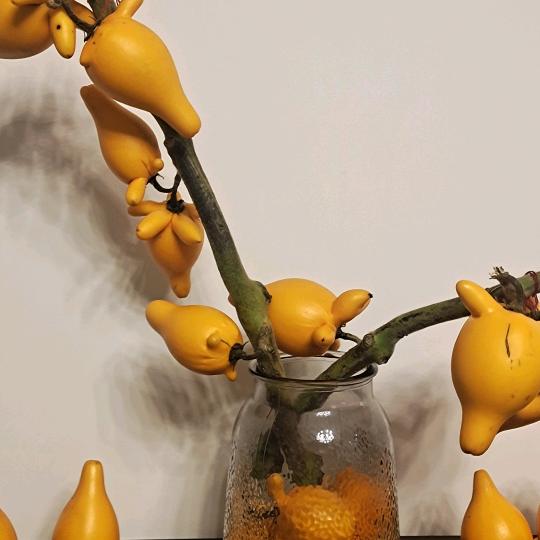 陆姐姐