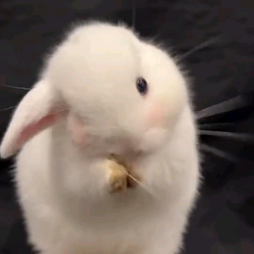😀
