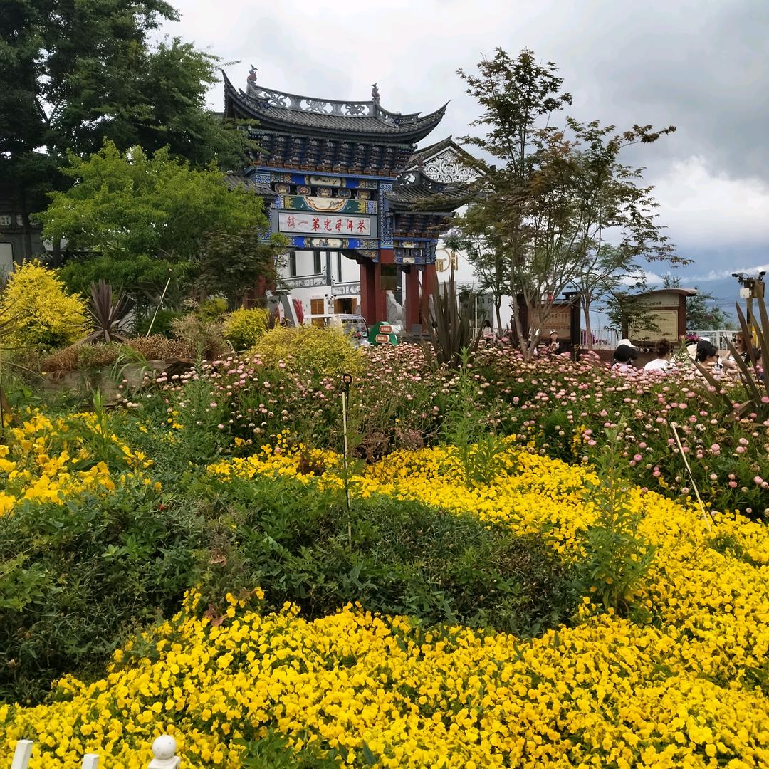 存明
