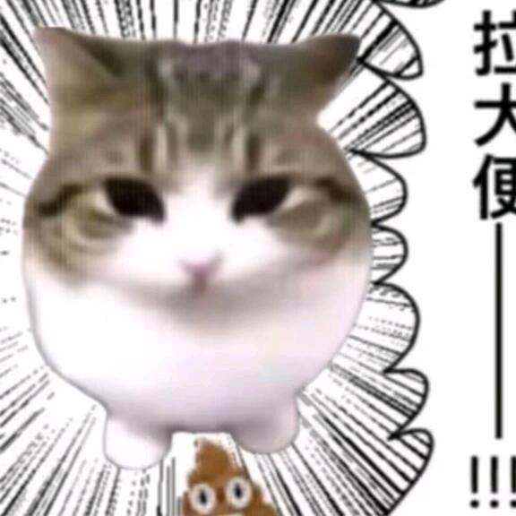 喵喵喵ฅ՞•ﻌ•՞ฅ