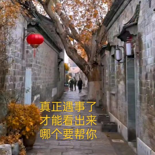 ya成全了舍得