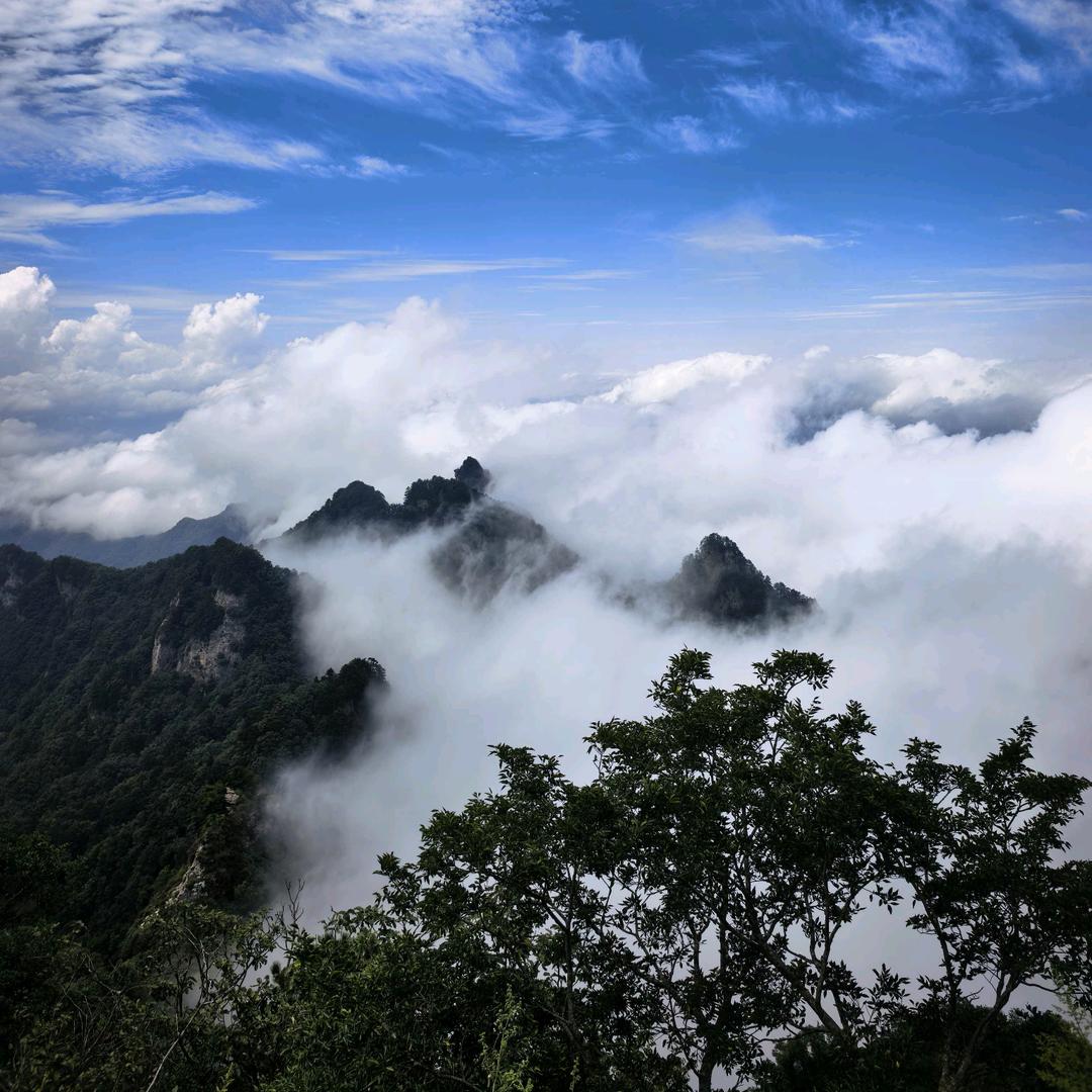 武当山导游  小王