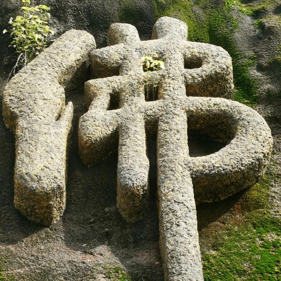 菩提者  大彻大悟