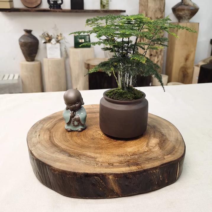 樟沁