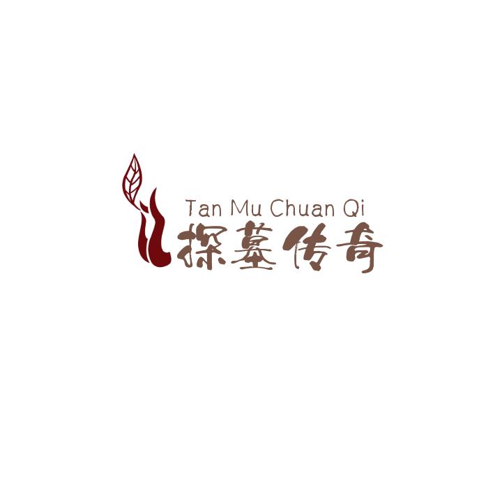 探墓传奇