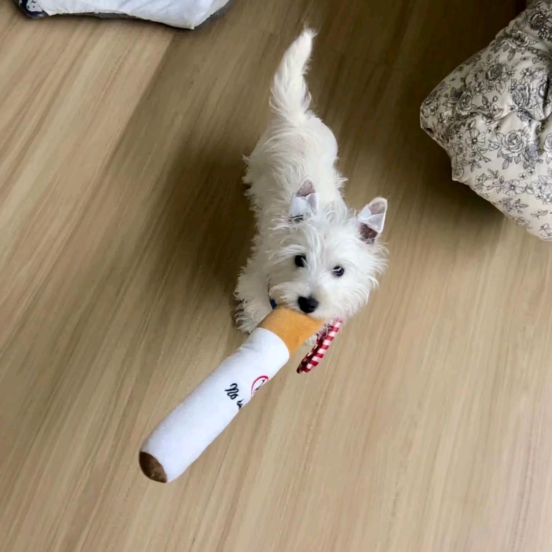 好运气