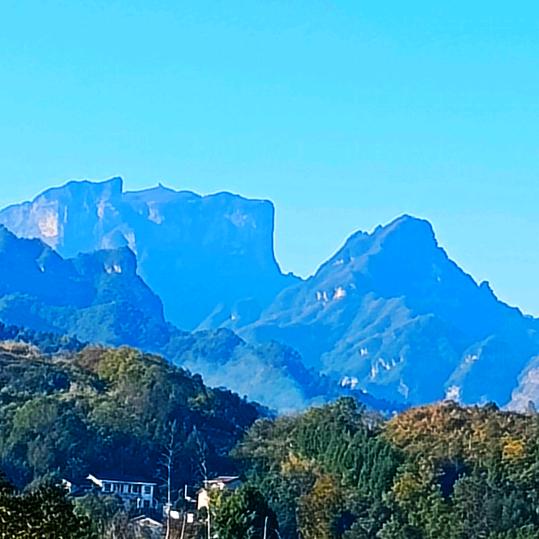 执着qihzhengfa