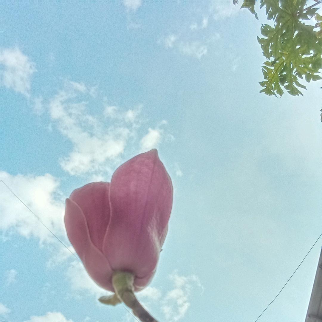 以诚相待