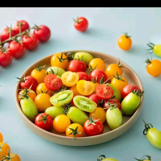 柿柿如意采摘园12号棚