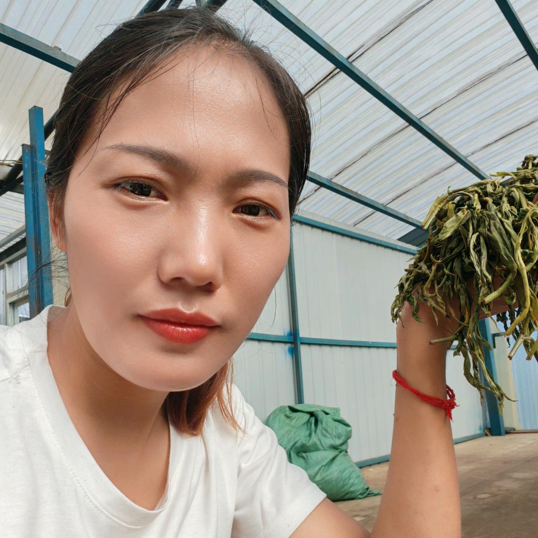 忙肺老寨正芹茶叶