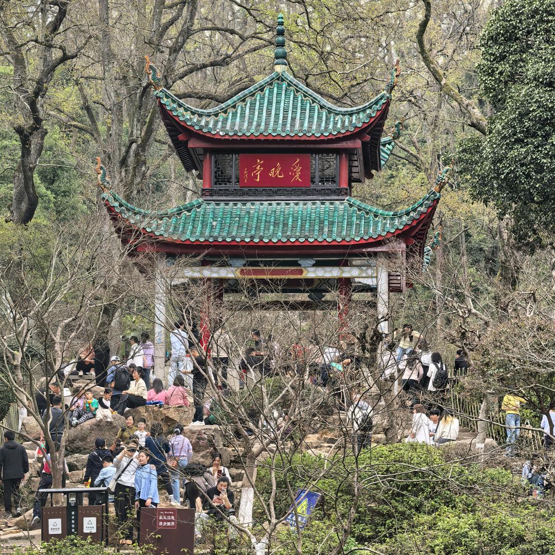 晨晓希望