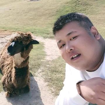 布拉德皮球@抖音