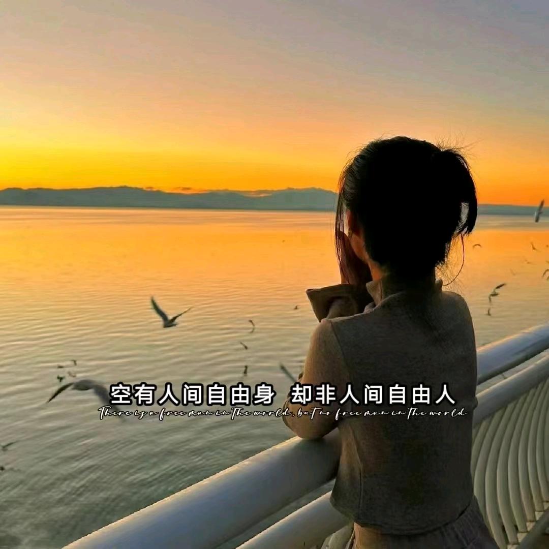 ღ星河不知意 ꦿ࿐