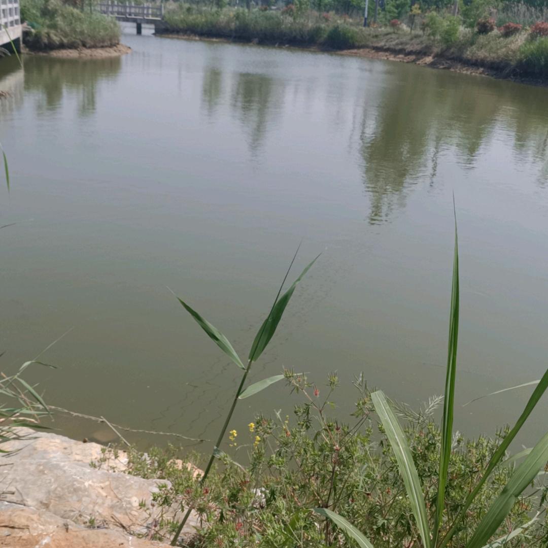 水产人:户外猎甲