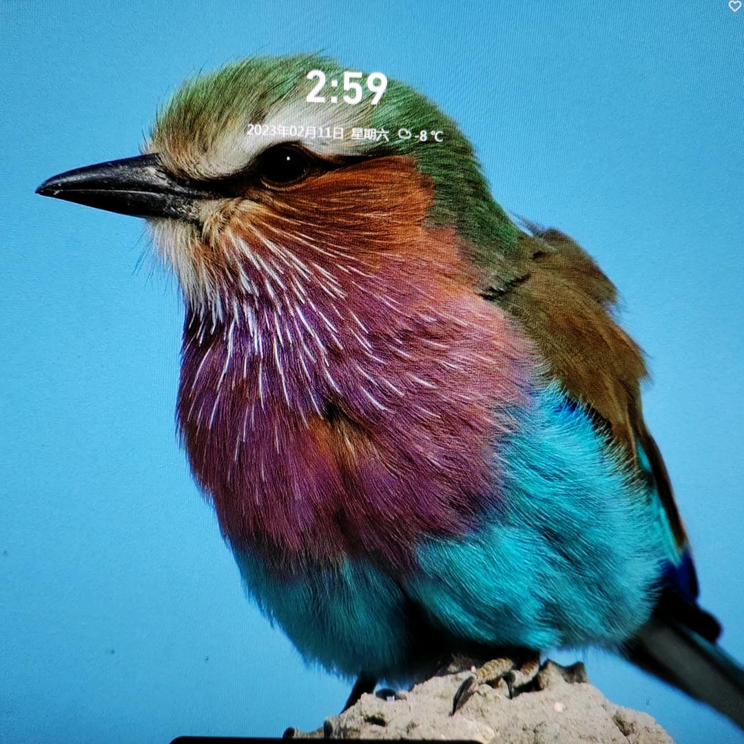 旧城不忘少年梦