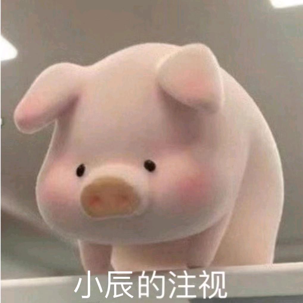 岛晕惹