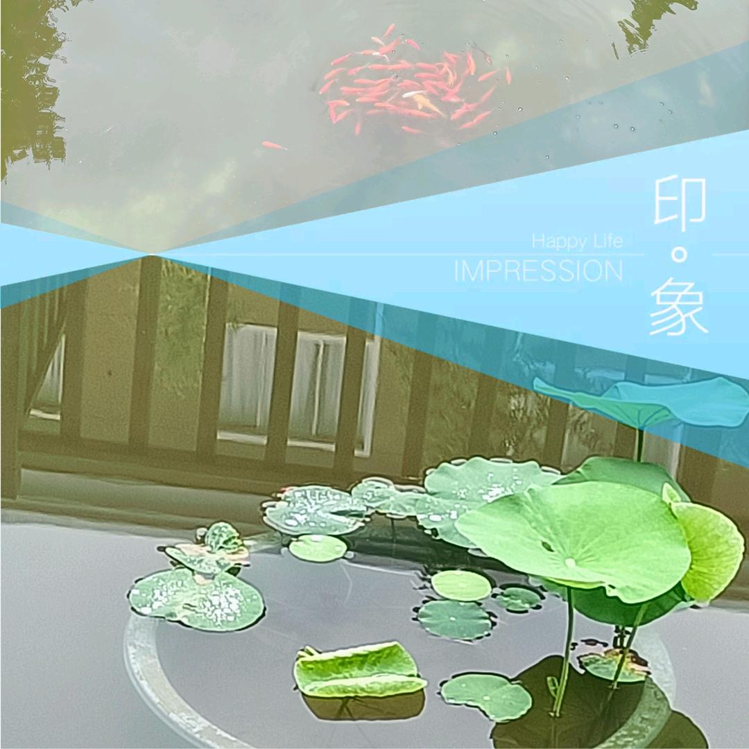 诗&远方