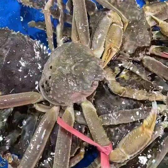 小赵朝鲜族海鲜