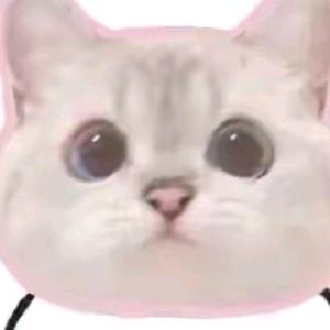 毛白不是毛黑捏