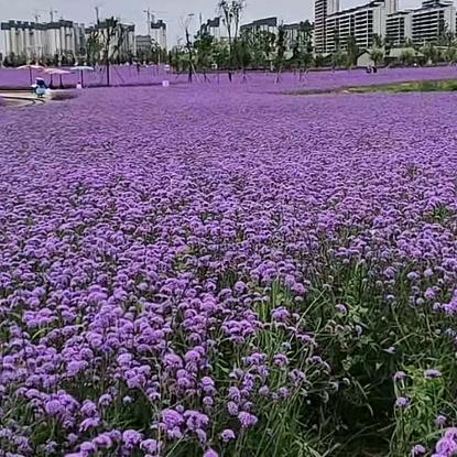辽职二食堂益香园