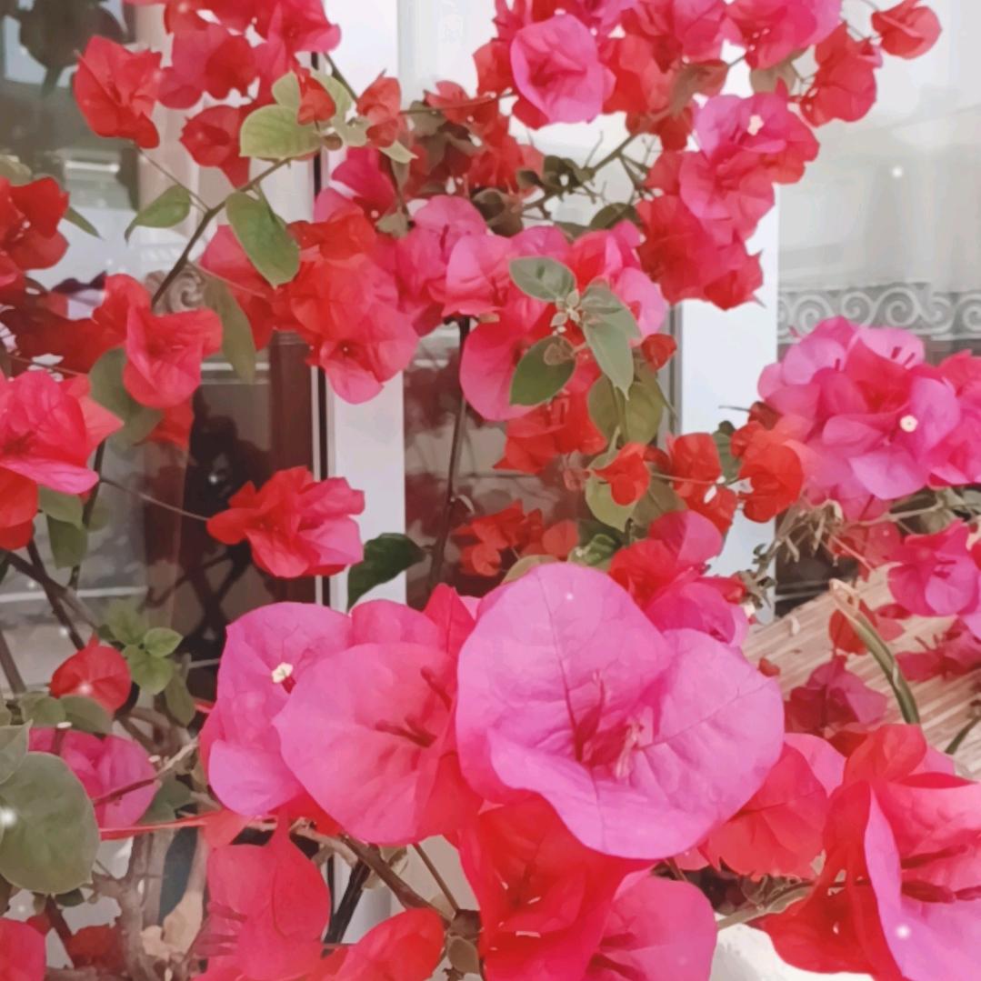 美净家政服务部一