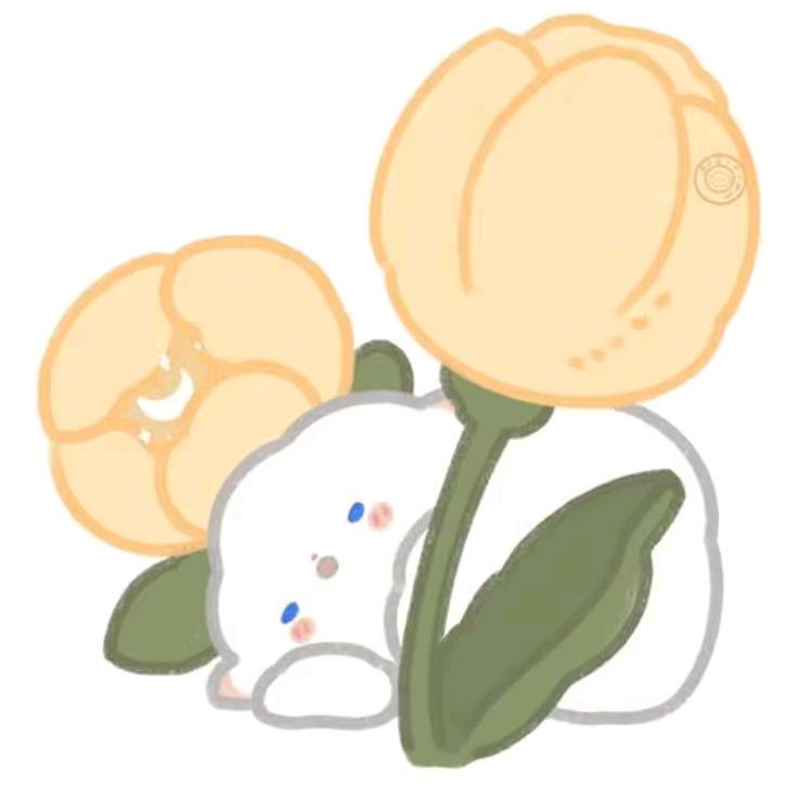 梦瑶.