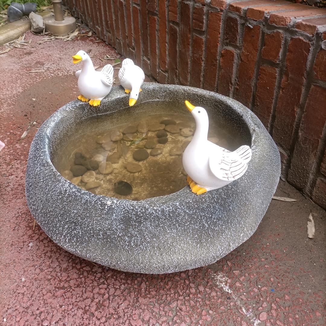 琳妹妹