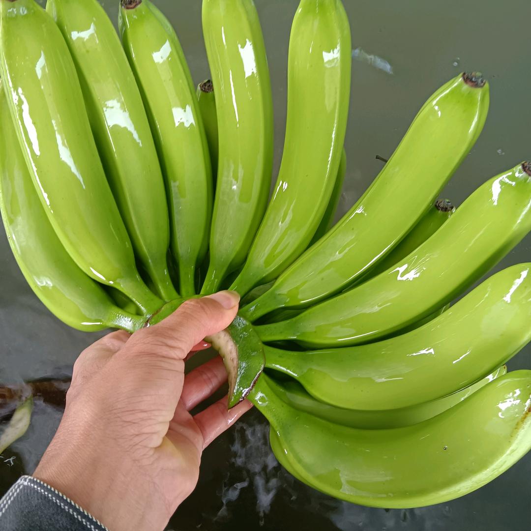 小廖，横县香蕉代办