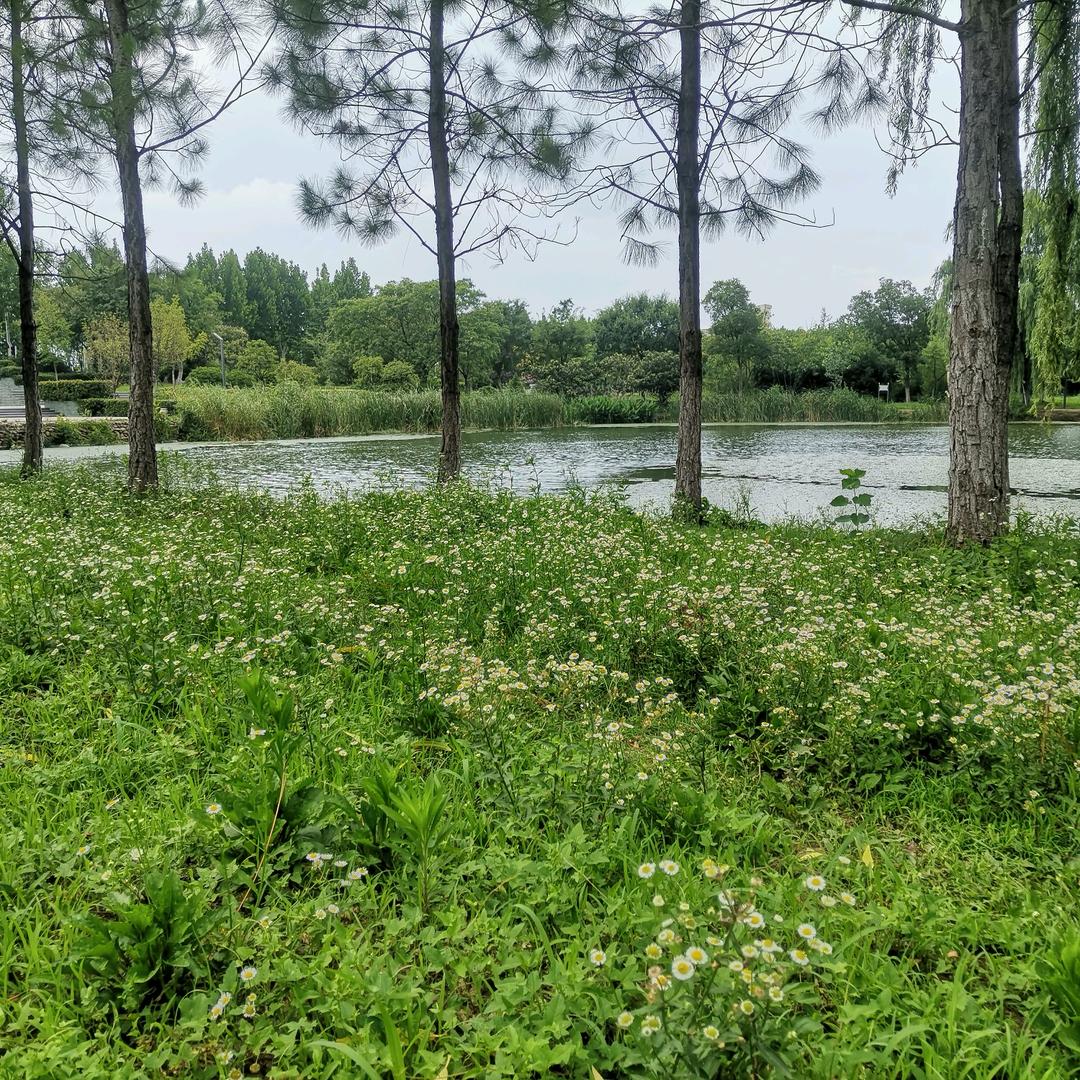 小桥流水人家