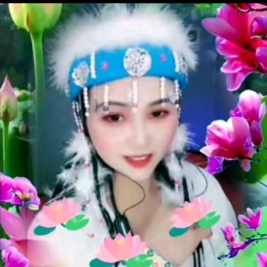 白美人玫瑰