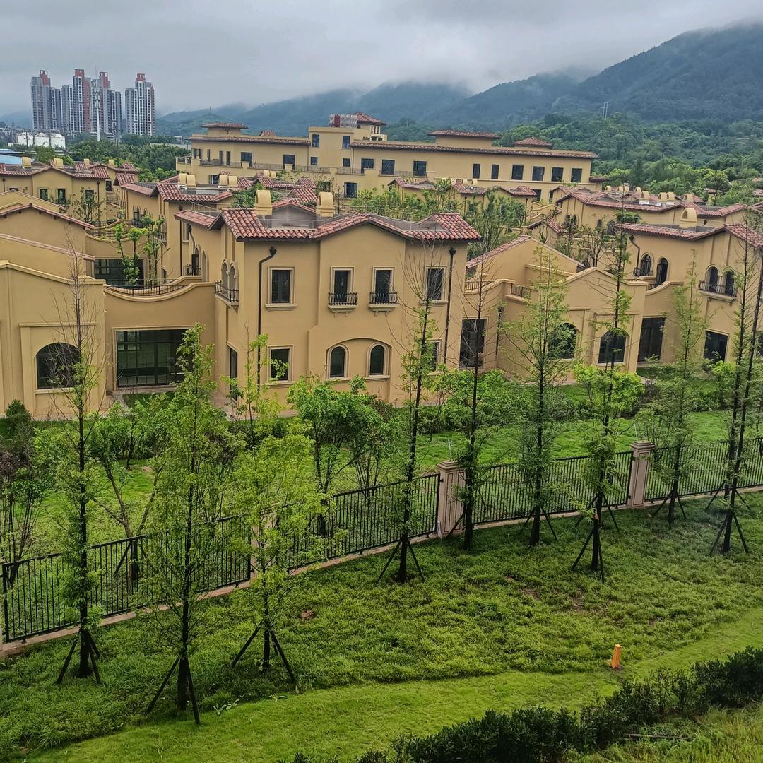 冬天的雨