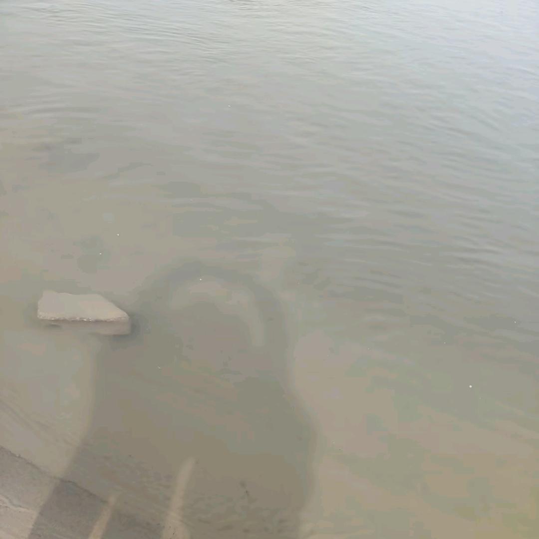 妮呀