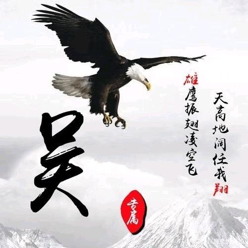 雄鹰飞翔