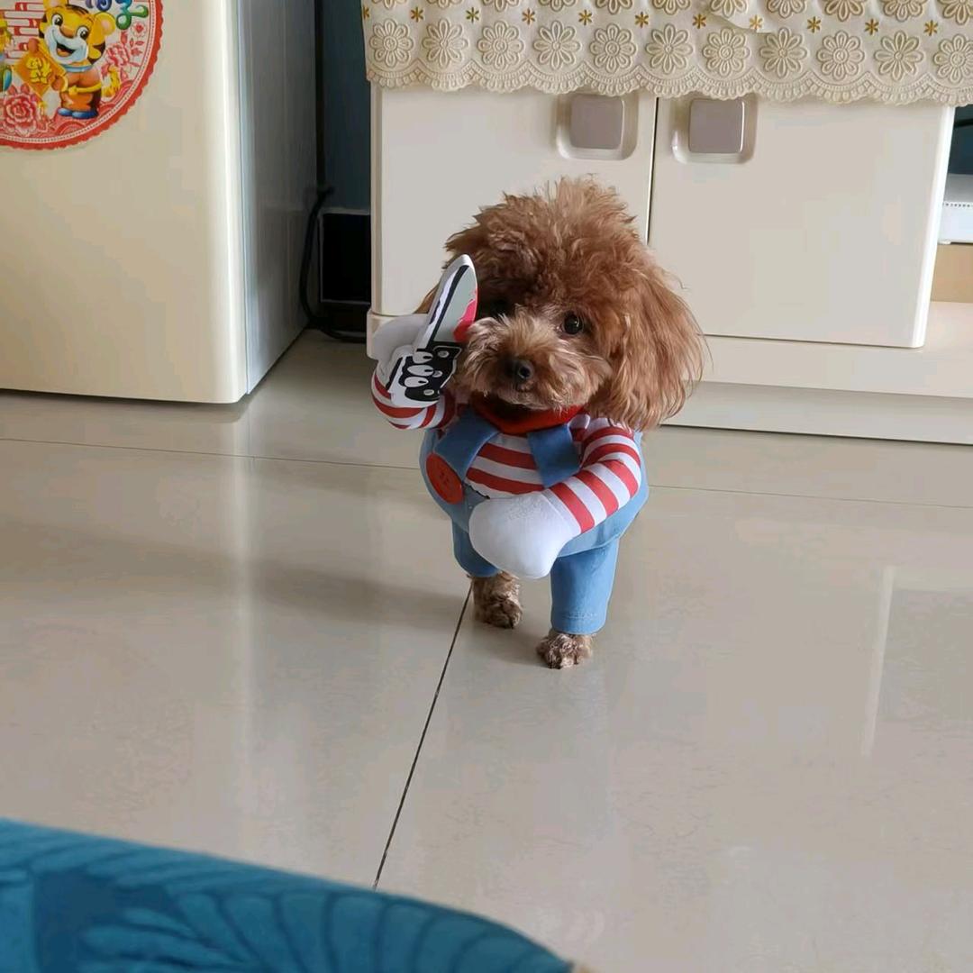 隔壁老王