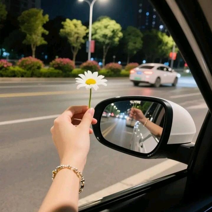 菲……儿🥀🥀🥀