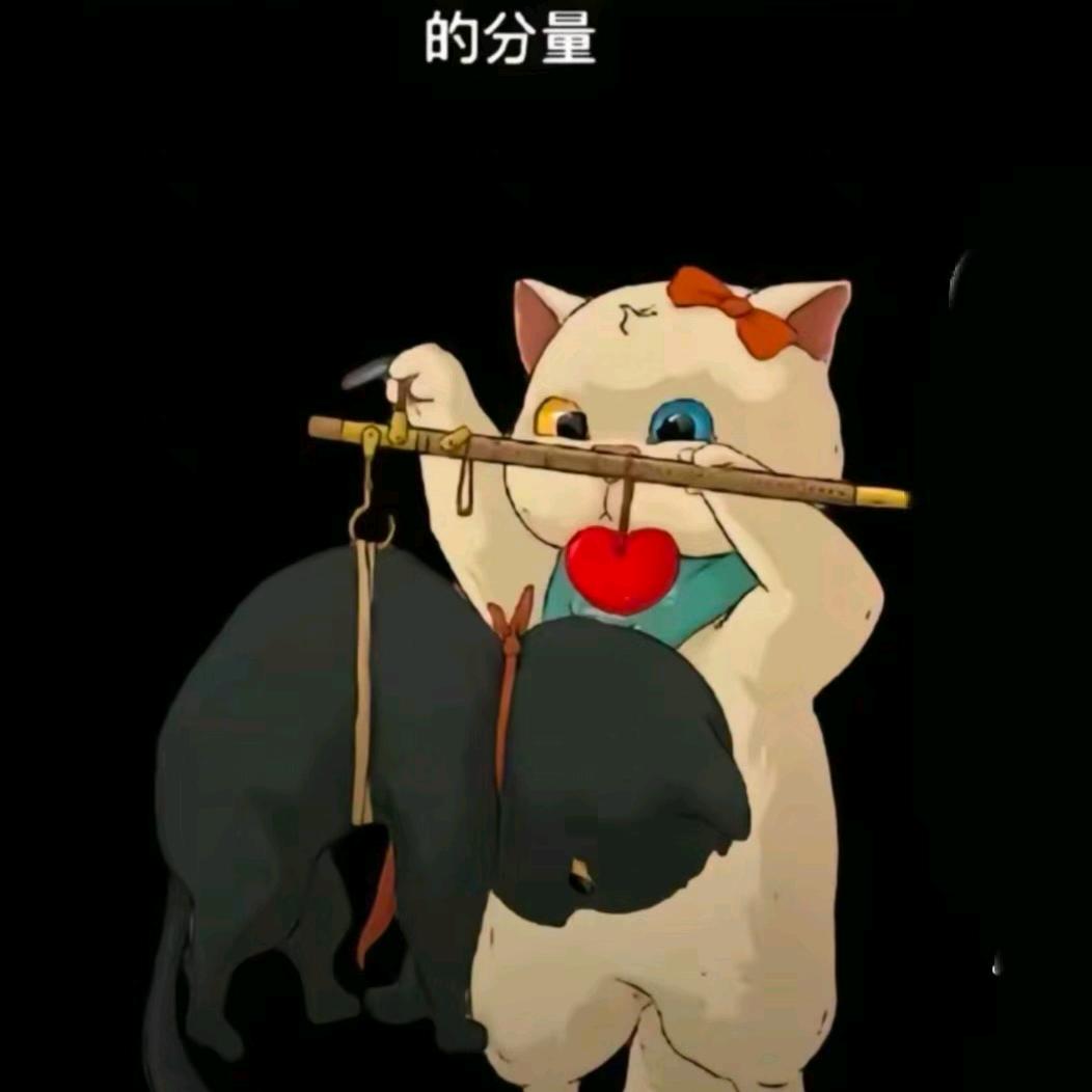 根本你不懂